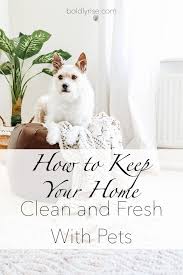 How to Keep Your Home Clean with Pets